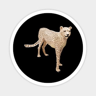 Cheetah  Colored Magnet